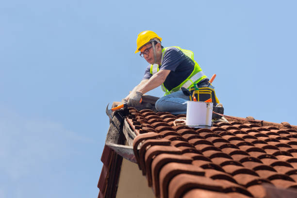 Best Roof Insulation Installation  in La Follette, TN